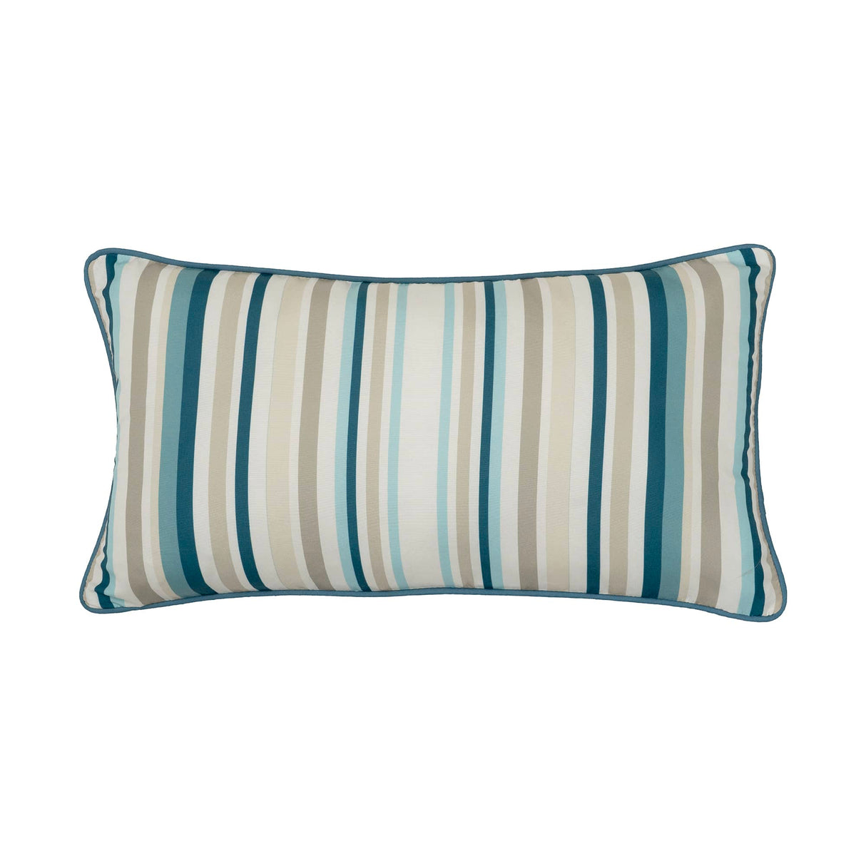 Cacti Blues Pillow Set