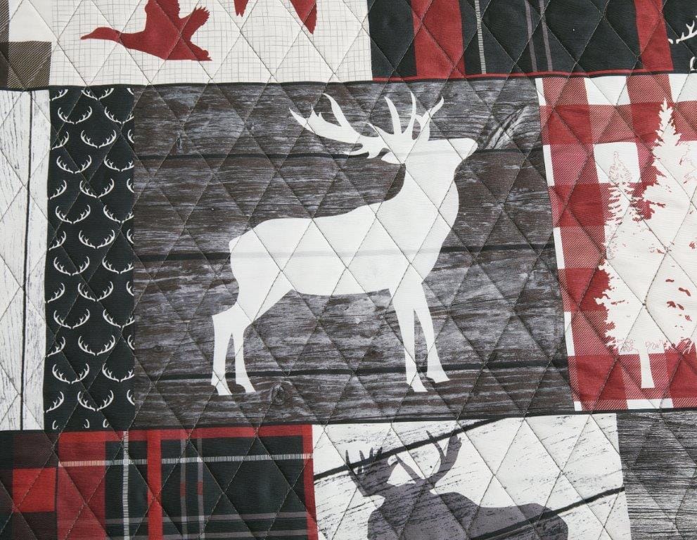 Trailblazer Trails Quilt Set