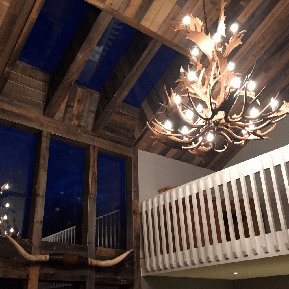 Authentic Fallow & Mule Deer Chandelier - Cascade