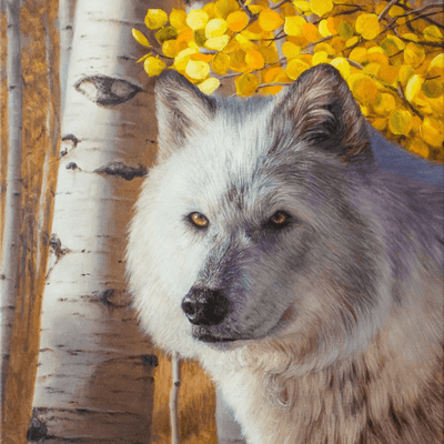 Golden Wolf Art Print