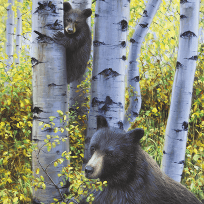 Lookout Bears Art Print