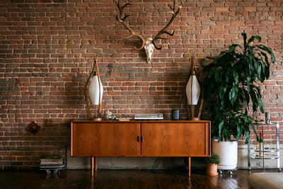 Ideas to Incorporate Antler Decor into Your Home