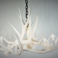 White Antler Chandeliers