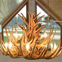 Antler Chandeliers & Light Fixtures