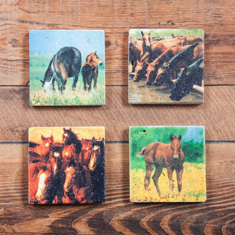 Painted Horses Coaster Set