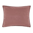 Sarsaparilla Discovery Standard Sham