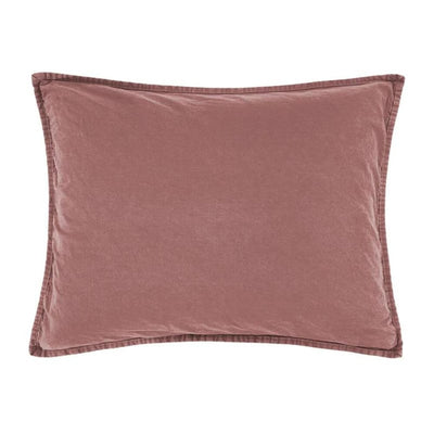Sarsaparilla Discovery Standard Sham