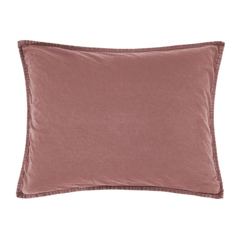 Sarsaparilla Discovery Standard Sham