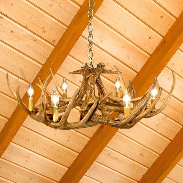 9 Antler Whitetail Chandelier