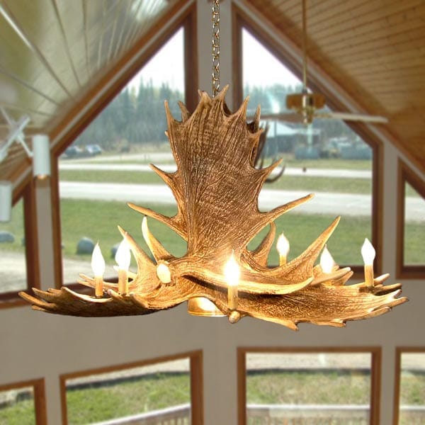 Moose 6 Horn Chandelier