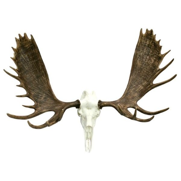 European Moose Mount