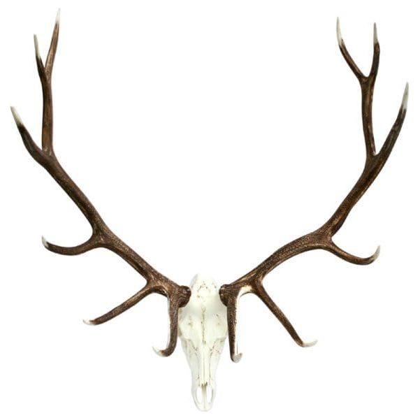 European Elk Mount