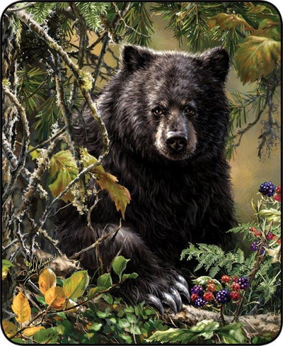 Black Bear Woods Blanket