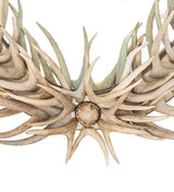 48" Mule Deer Oval Mirror