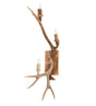 12" Elk & Mule Deer 3 Light Antler Wall Sconce