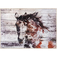 Painted Horse Indoor/Outdoor Rug