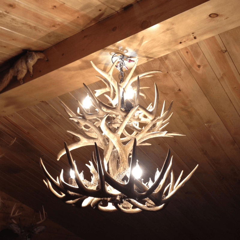 Authentic Whitetail Deer Two Tier Chandelier