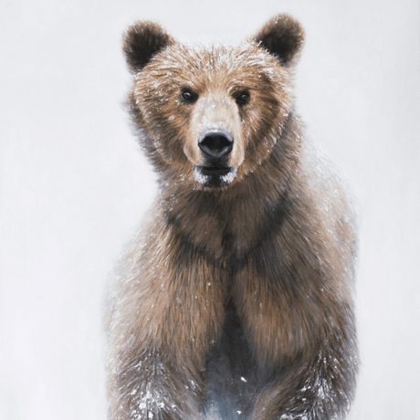 Blizzard Bear Notecard
