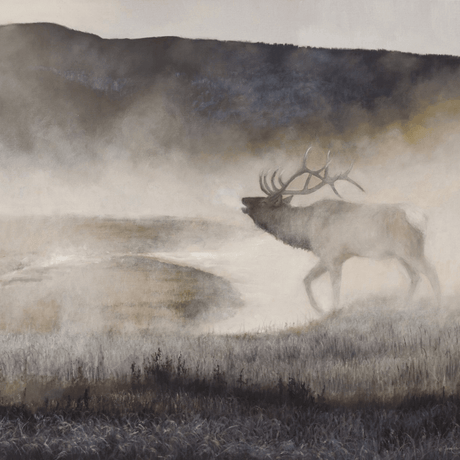 Early Riser Notecard