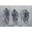 Foggy Herd Notecard