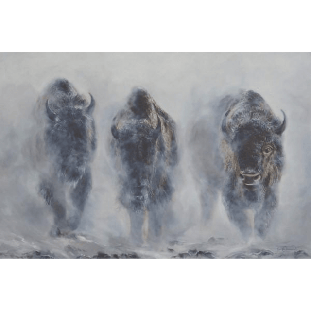 Foggy Herd Notecard