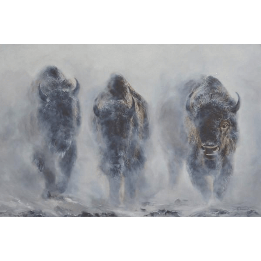 Foggy Herd Art Print