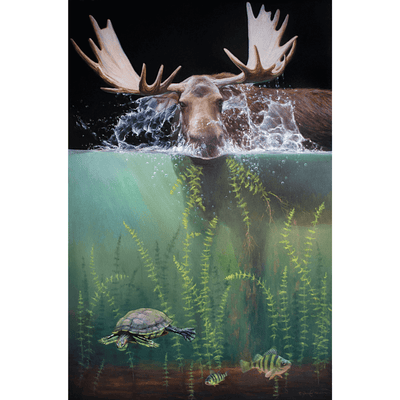 Moose Out of Water Art Print