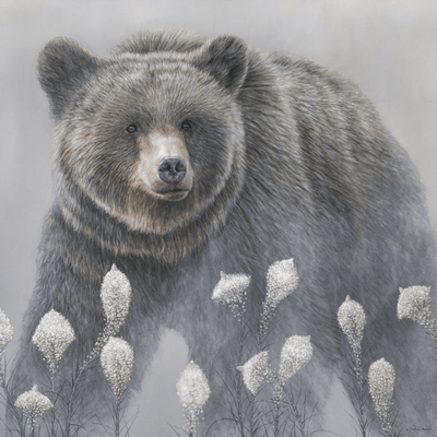 Mystic Bear Art Print