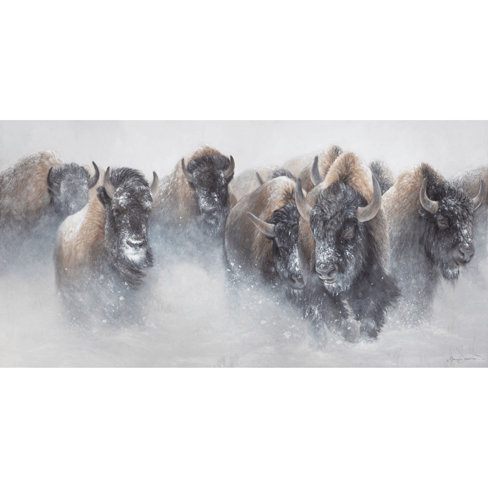 Snow Stampede Notecard