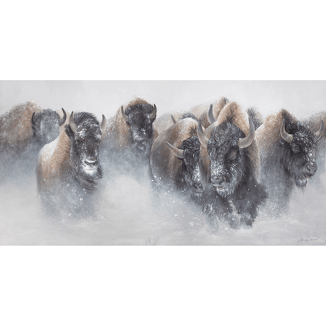 Snow Stampede Notecard