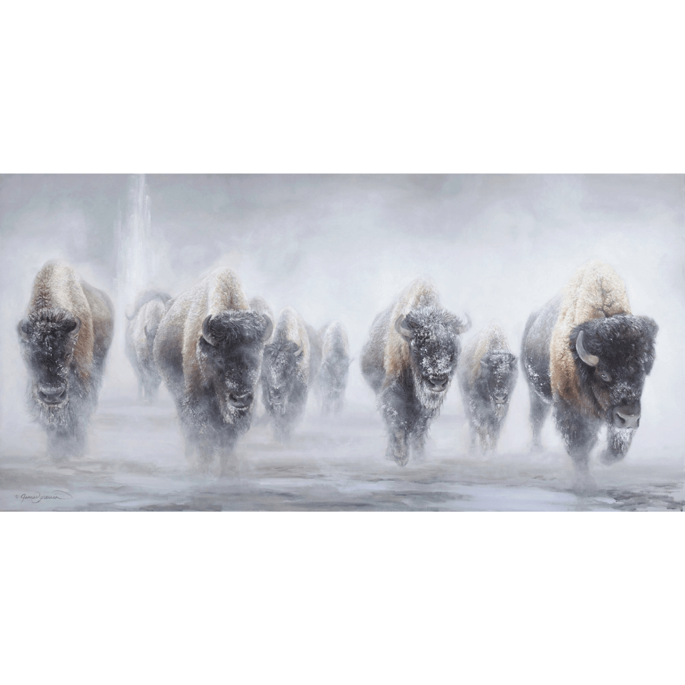 Snowy Stampede Notecard