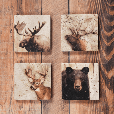 Vintage Wildlife Coaster Set