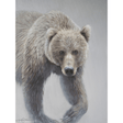 Winter Protector Notecard