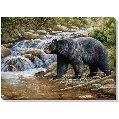 Shadow of the Forest Wrapped Canvas Art